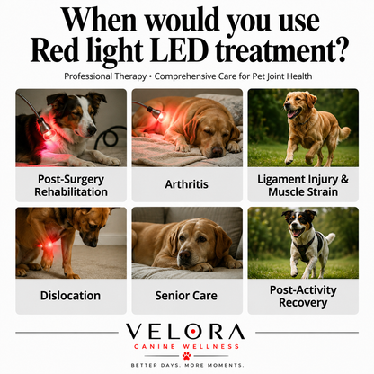 Velora™ Red Light Sleeve